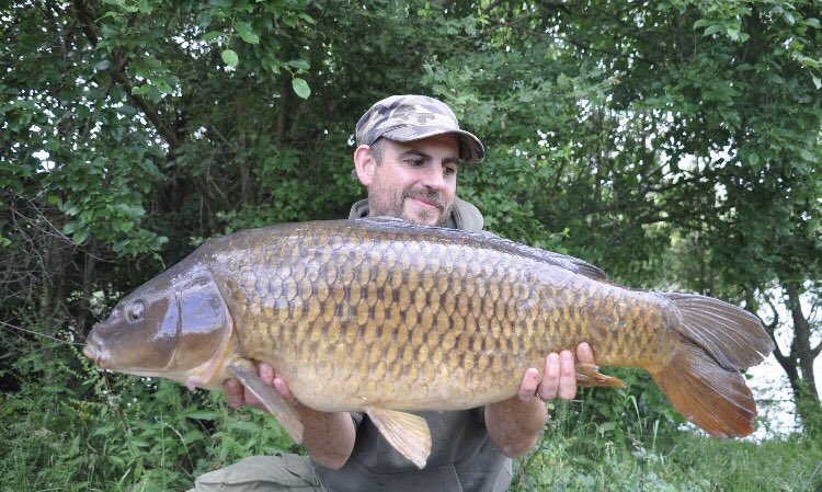karperltd's tweet photo. Co owner of KARPER, Ben had this stunning 26lb common on Elsons lake at stanwick last week, falling to the KARPER White RS Fluro over a bed of KARPER RS. #karperltd #CarpFishing #KarperRS https://t.co/QHOKuCPux7