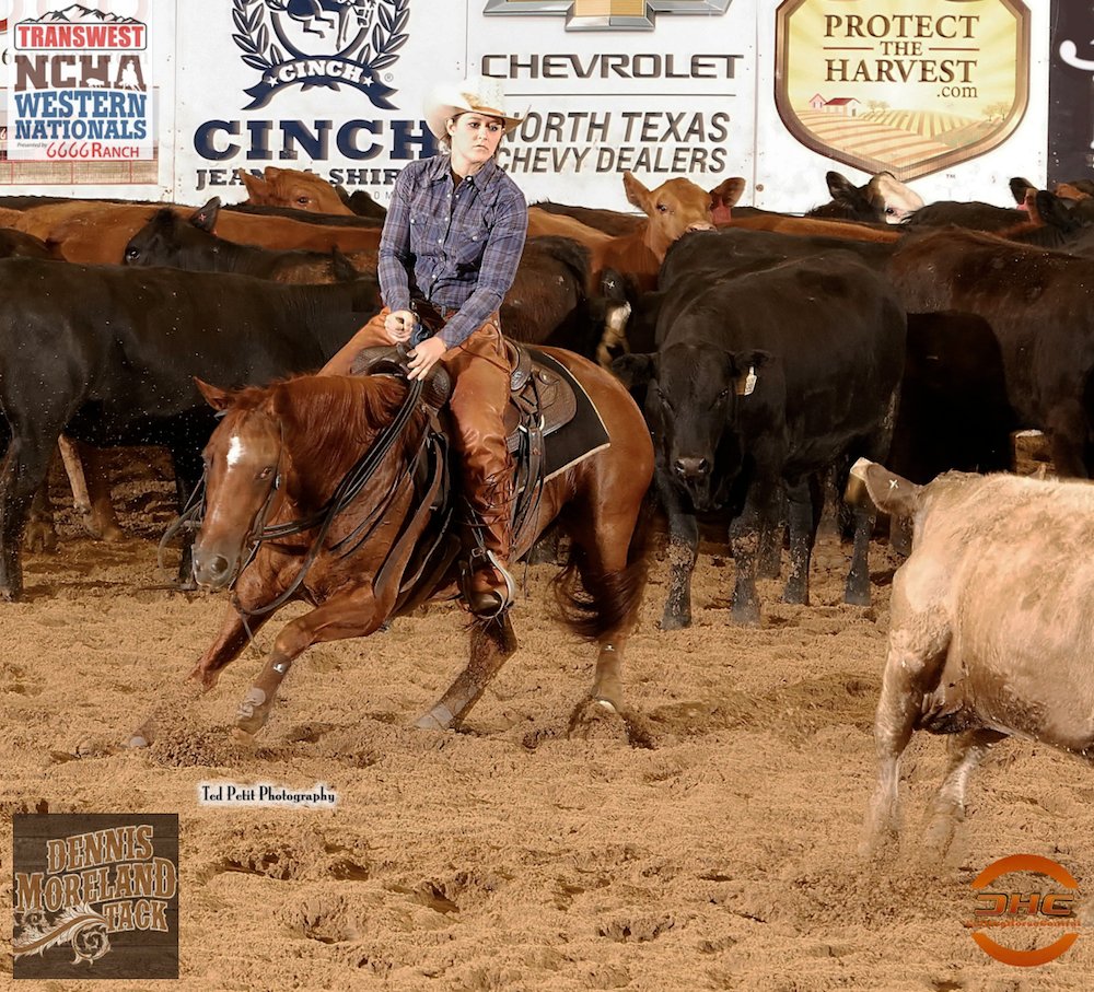 PHorseCentral's tweet photo. #DMTack wants you to give it up for Jessica Cauble scoring a 220 on Im Countin On You owned by Ted & Nancy Turner to win the $2,000 Limit Rider today. Photo credit goes to #VideoWestProdutions at the #Transwest #NCHA #WesternNationals https://t.co/qorFCKUeZY