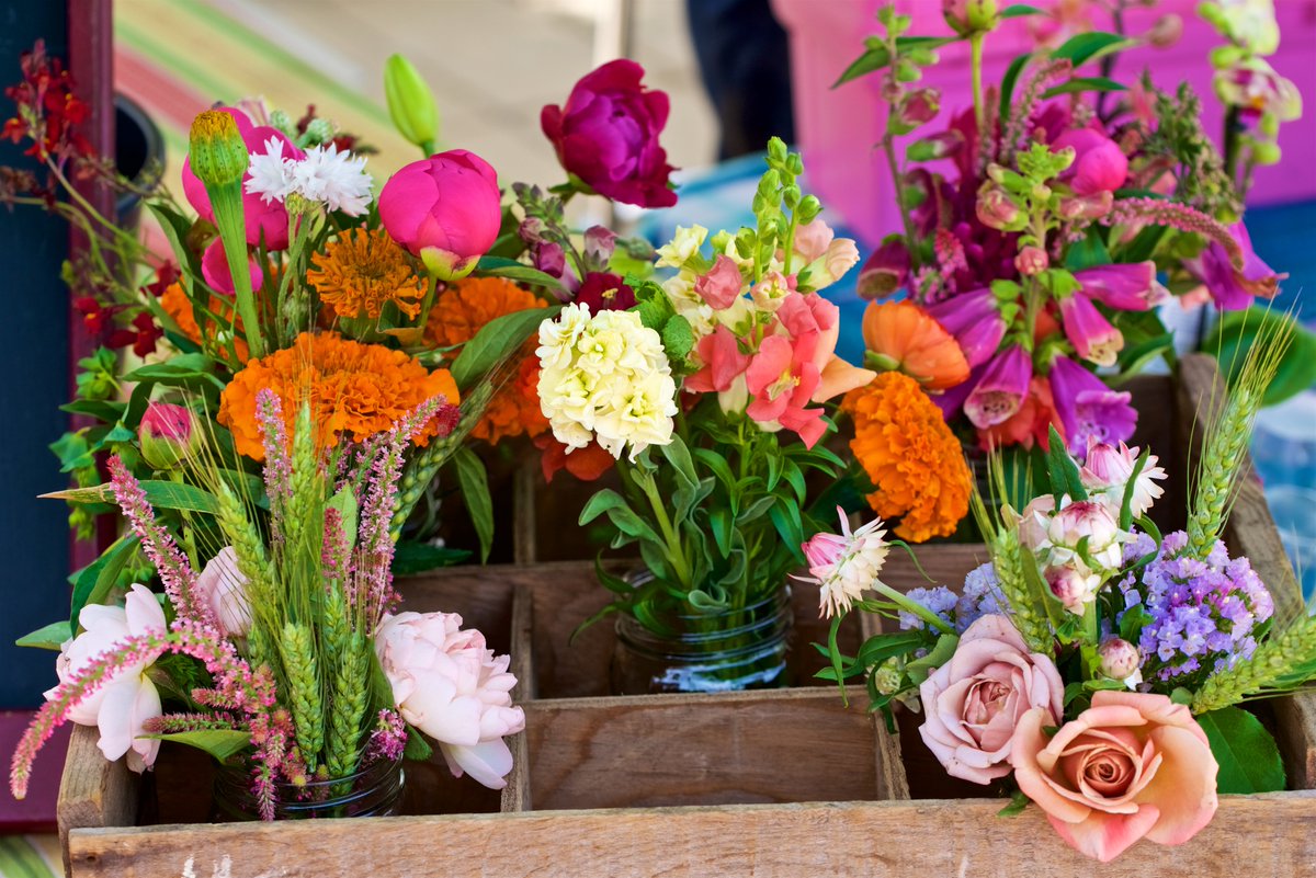 EYFarmersMarket's tweet photo. La Primavera Farms at today’s East York Farmers’ Market. @laprimaverafarm #eastyork #farmersmarket #LPVFarms #HamOnt #peony #seasonalfloweralliance #flowerstalking #flowerlove #flowergram #flowerlover #flowerart #flowermagic #farmerflorist #flowerfarmer #florallove https://t.co/H5Cr6xdJG5