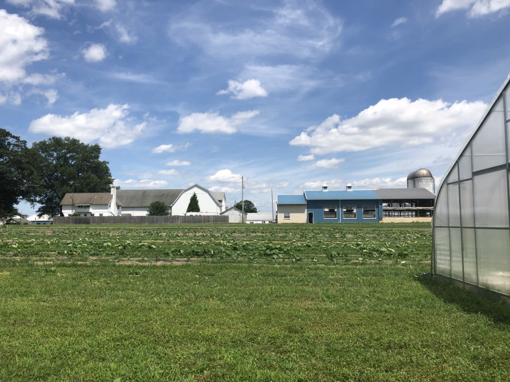 kirstenmucha's tweet image. Shout out to Corteva colleague @RickDeadwyler and ag experts from @udelaware Dairy &amp;amp; Farm for an informative field trip and tasty treats from UD Creamery! #lifeatcorteva