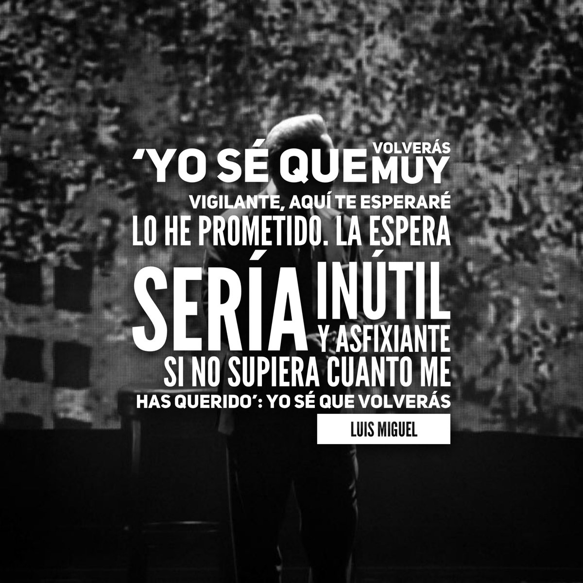 Total 92+ imagen frases canciones luis miguel - Thptletrongtan.edu.vn