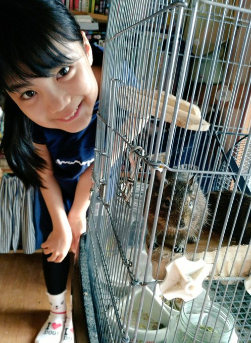 Twitterのコスプレ画像3