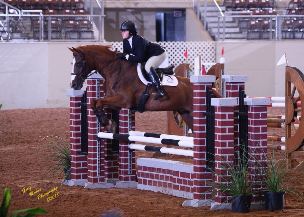 PCEventing's tweet image. The most perfect Coop-a-loop ❤️