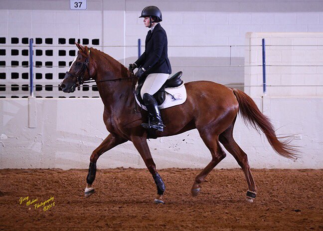 PCEventing's tweet image. The most perfect Coop-a-loop ❤️