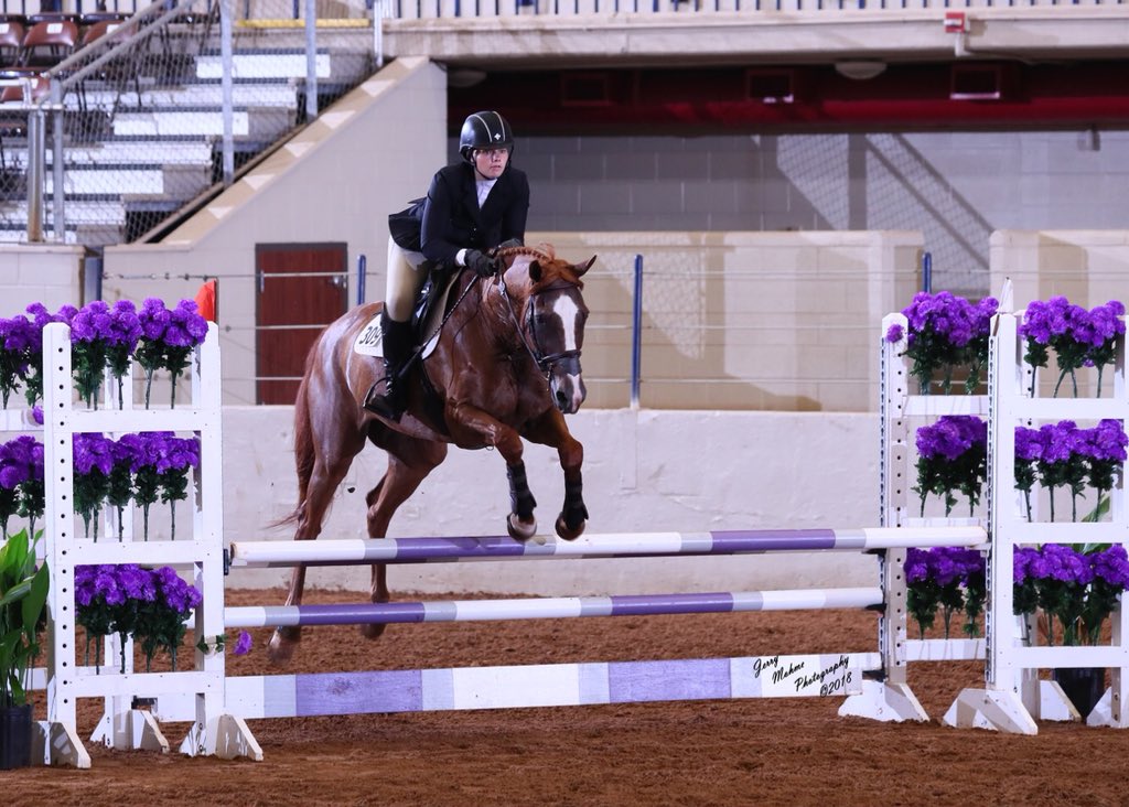 PCEventing's tweet image. The most perfect Coop-a-loop ❤️