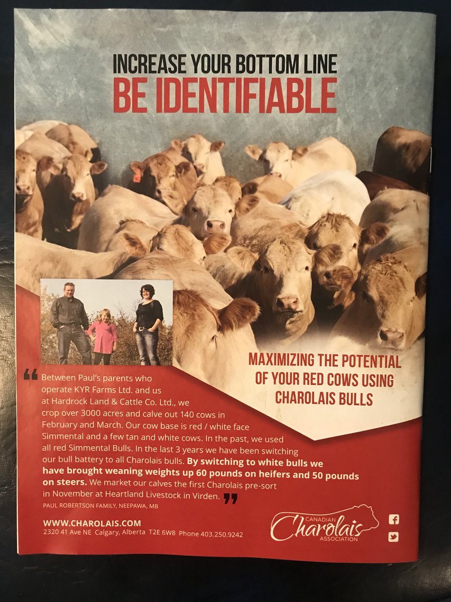 MBCharolais's tweet photo. @canCharolais ad in the @CanCattlemen with a #MB touch! @paulmrobertson1 @RobertsonDalyse #charolais #beidentifiable #maximizethepotential https://t.co/kdw8QieQW4