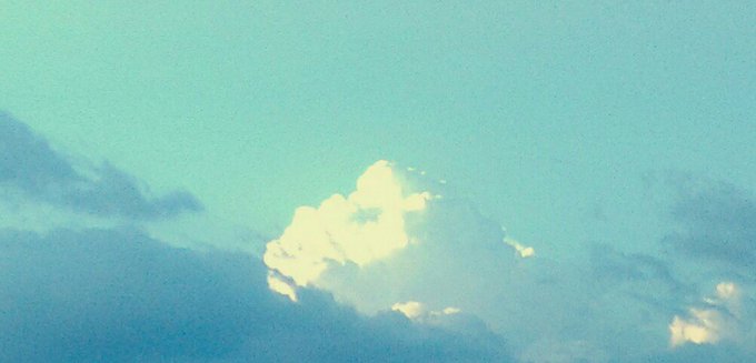 View image on Twitter