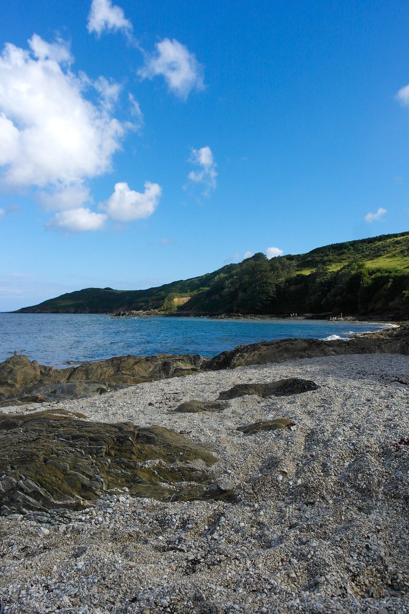 Driftwood_Penryn_Cornwall tweet media