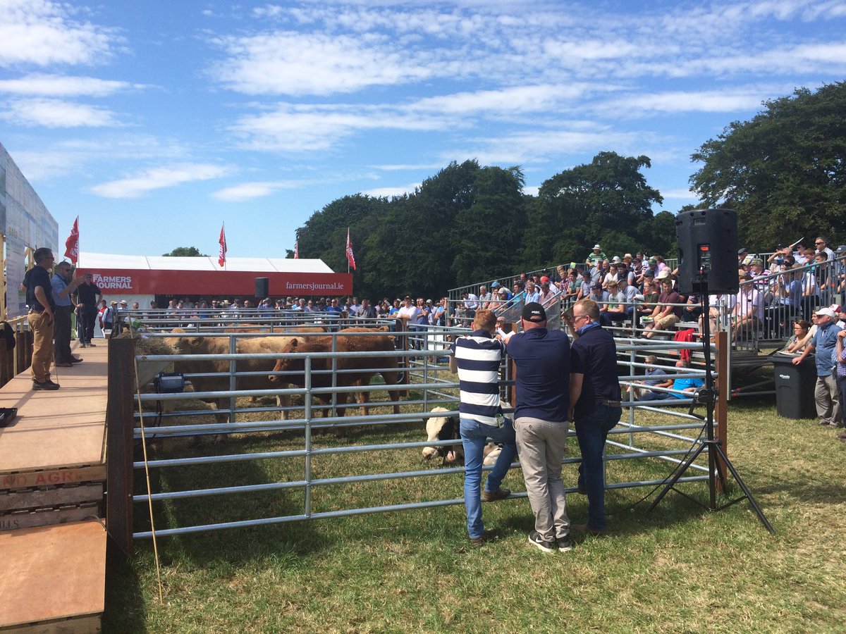 TeagascBeef's tweet photo. @FJBeef @HerdPlus @teagasc Live Breeding Demo at BEEF2018 today. Huge interest #beef2018 #beeftechtransfer https://t.co/WazapNsbOI