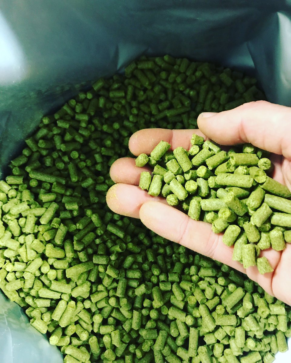 pinta_hb's tweet photo. Chinook in tha house #Craftbeer #beer #homebrew @CharlesFaram https://t.co/737jfvBJEm