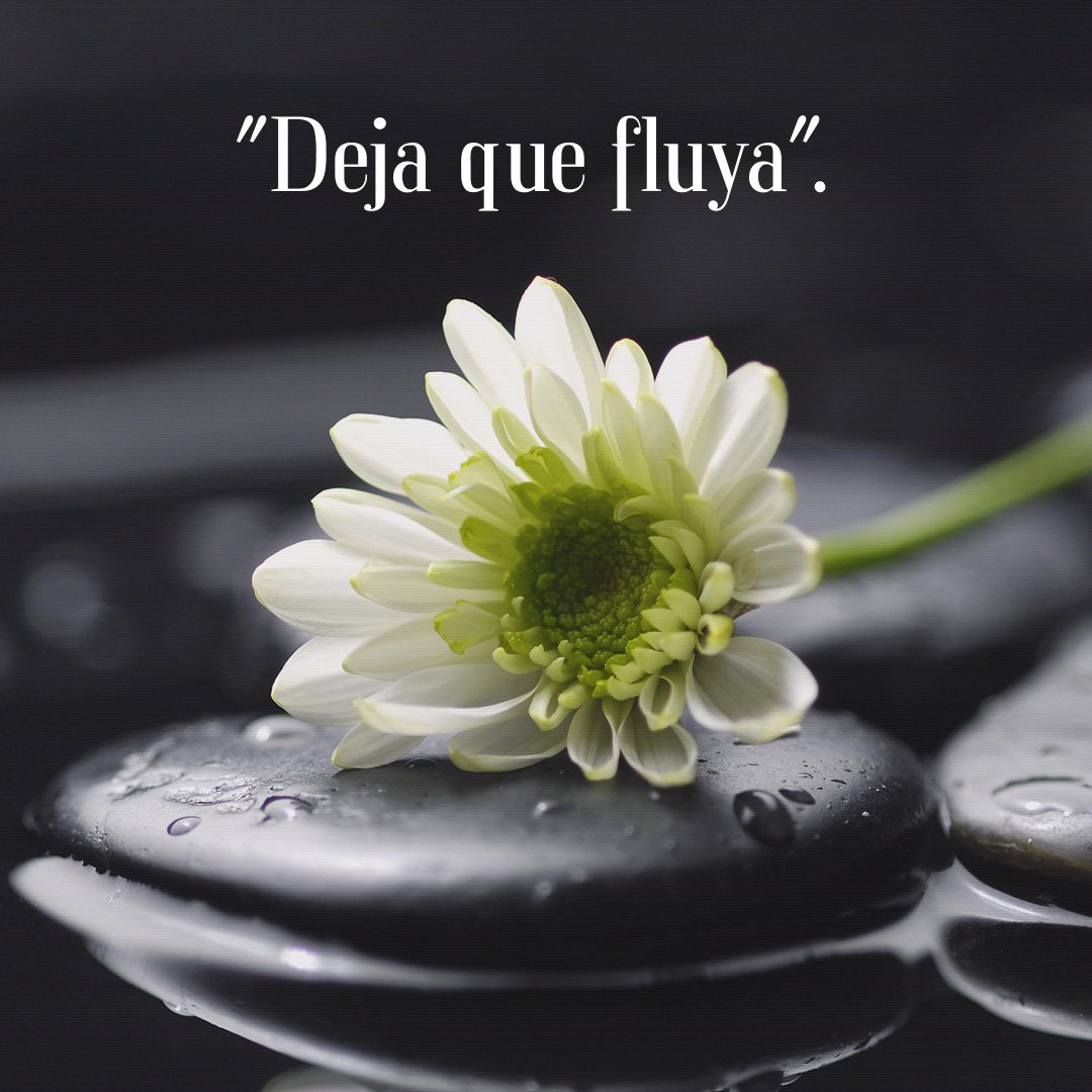 Para que todo salga bien solo tienes que pensar que va a salir bien.