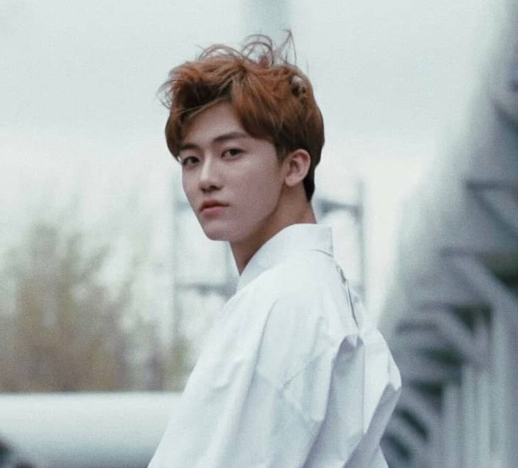 น้องไข่aesthetic tweet media