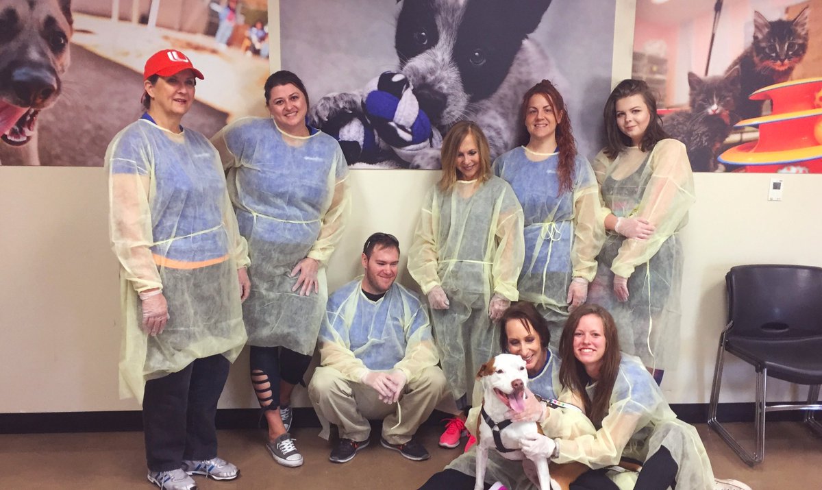 AmeriFirstFin's tweet photo. What better way to spend the day than volunteering @azhumane! It was so much fun preparing toys and playing with all the pups! #WagLocal #AZHumaneSociety #AZHumane #Dogs #Cats #Pups #Donate #Adopt #AmeriFirst #AmeriFirstCares https://t.co/ki8Med7Q7n