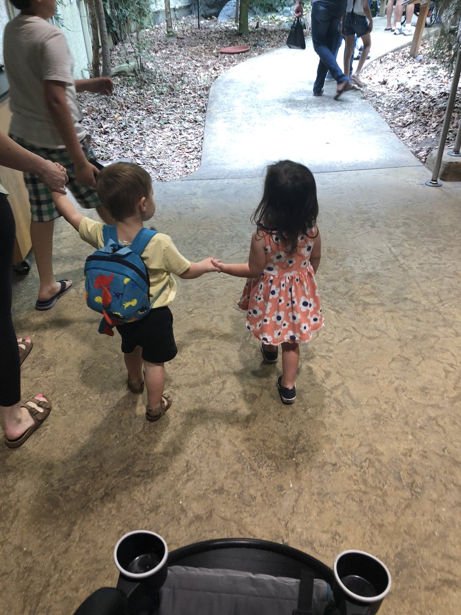 orourke_kela7's tweet photo. #VBSummerBingo: Morning included a workout at #burnbootcampVB, then me and my little one spent the afternoon with a colleague and her little one identifying fish, turtles, and sting rays! 🐢🐠🤝 #vbtots #momswhoteachatthebeach 
#oursummerschoolkids😂 https://t.co/aBXfpPnwkZ