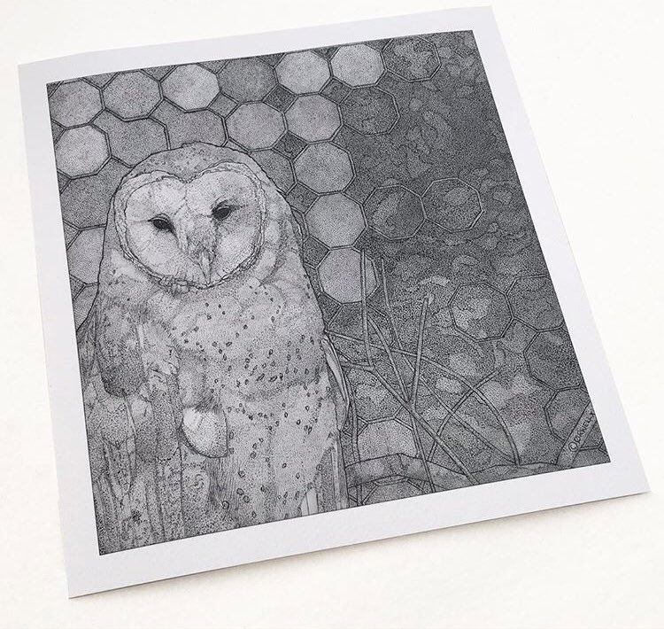 Don’t forget you can grab my print ‘The Switch’ signed, stamped and limited to 250 at the Drawn to Ink website. drawntoink.com/shop

#illustration #illustrationagency #prints #owls #limited #contemporaryart #art #ownart #ukartist #aves #hibou #fineart
