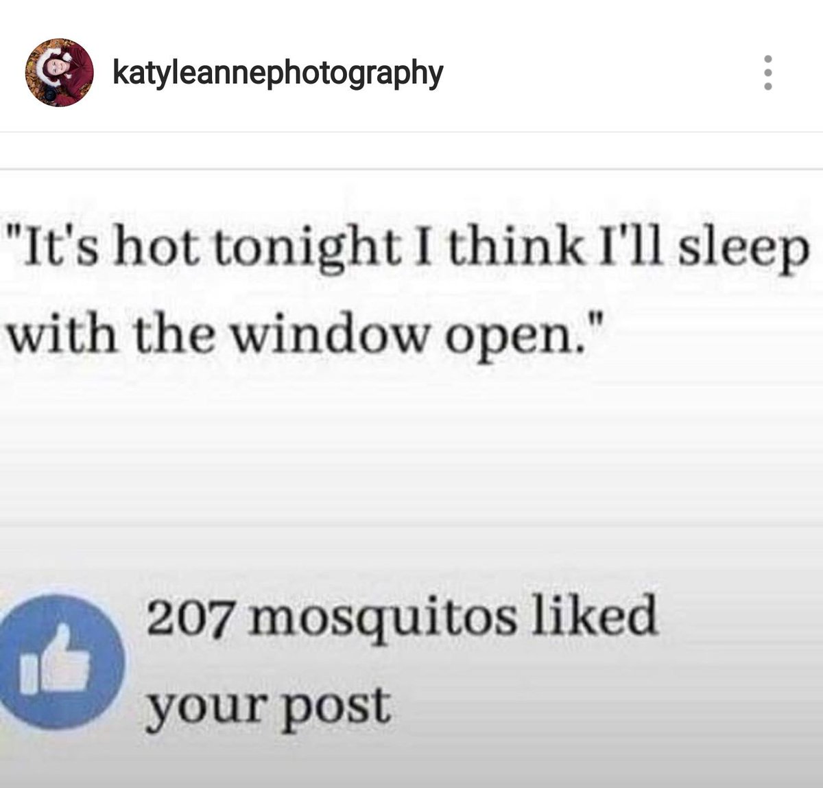 CarloCameraman On Twitter I Do Love An Instagram Meme