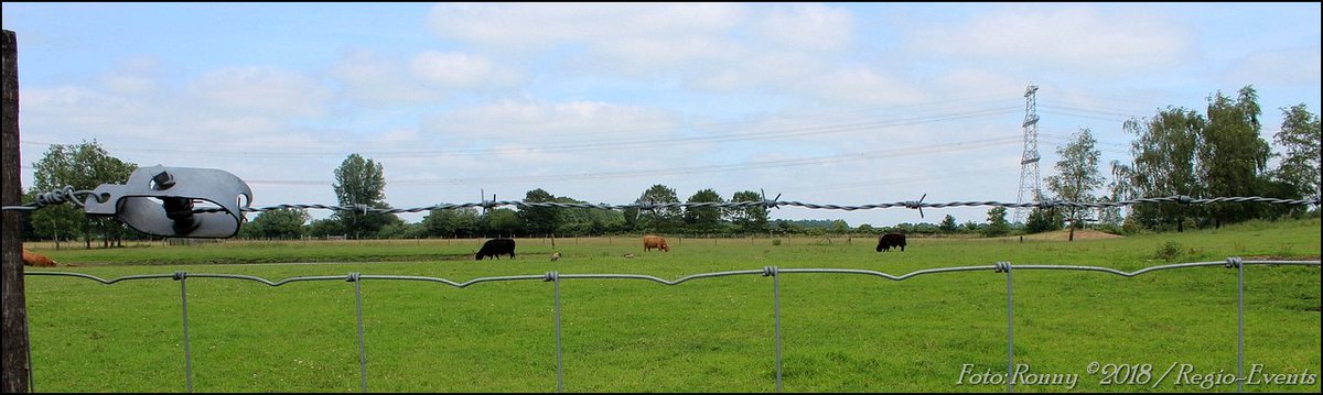 112regioflits's tweet photo. Even op een andere tour vandaag. Crops/uitsneden uit originele foto's van dinsdagmiddag in #Pagedal 1/2 https://t.co/TCsu5koH9C