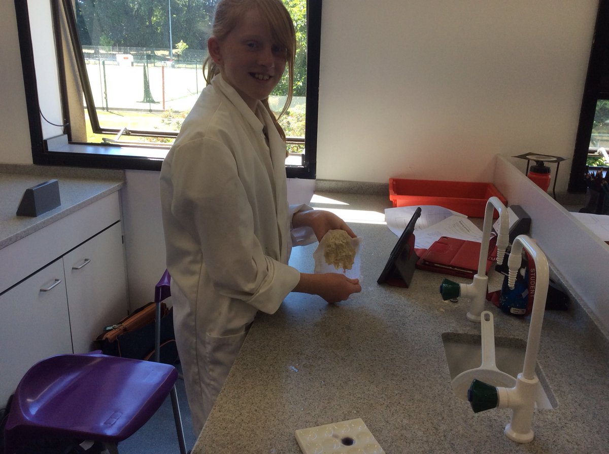 RHSchoolScience's tweet photo. Itβs Activities Week @RedmaidsHigh and weβve had a splendid day teaming up with @RedmaidsHighDT to do Food Science. Activity 1 - take different flours, make dough, wash the starch away and create a gluten ball #KitchenChemistry #StarchTest #CrossCurricularCollaboration https://t.co/sFFgaSc21z