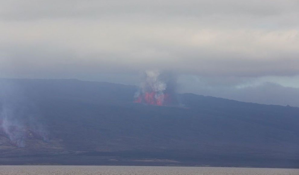 eluniversocom's tweet photo. #Urgente Ministro de Ambiente @tgranizo anuncia que el volcán #SierraNegra, en Galápagos, entra en erupción. El @parquegalapagos monitorea este proceso geológico natural del archipiélago. (Noticia en desarrollo) https://t.co/GRbmaxxJPJ
