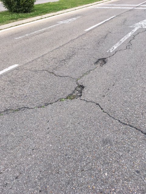 SCLaRataNegra's tweet photo. Ya que se mete la alcaldesa de Madrid a ganar la Guerra Civil con eso de la Memoria Histerica podría ir tapando las trincheras, los pozos de tirador y los cráteres del bombardeo aéreo que plagan nuestras calles no sea que alguno en moto se mate...
https://t.co/zWpuNNTV4O https://t.co/nfB5og6cAW