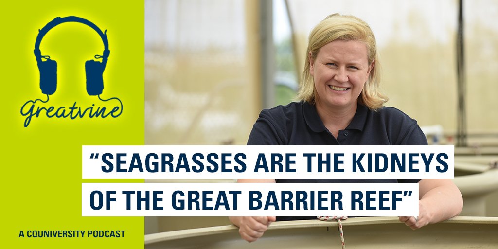 CQUni's Dr Emma Jackson is passionate about restoring #seagrass meadows in #Queensland. Find out why seagrasses are so important for coastal communities. iTunes: ow.ly/tDqr30kDRJI SoundCloud: ow.ly/N67u30kDRIA #GBR #Research