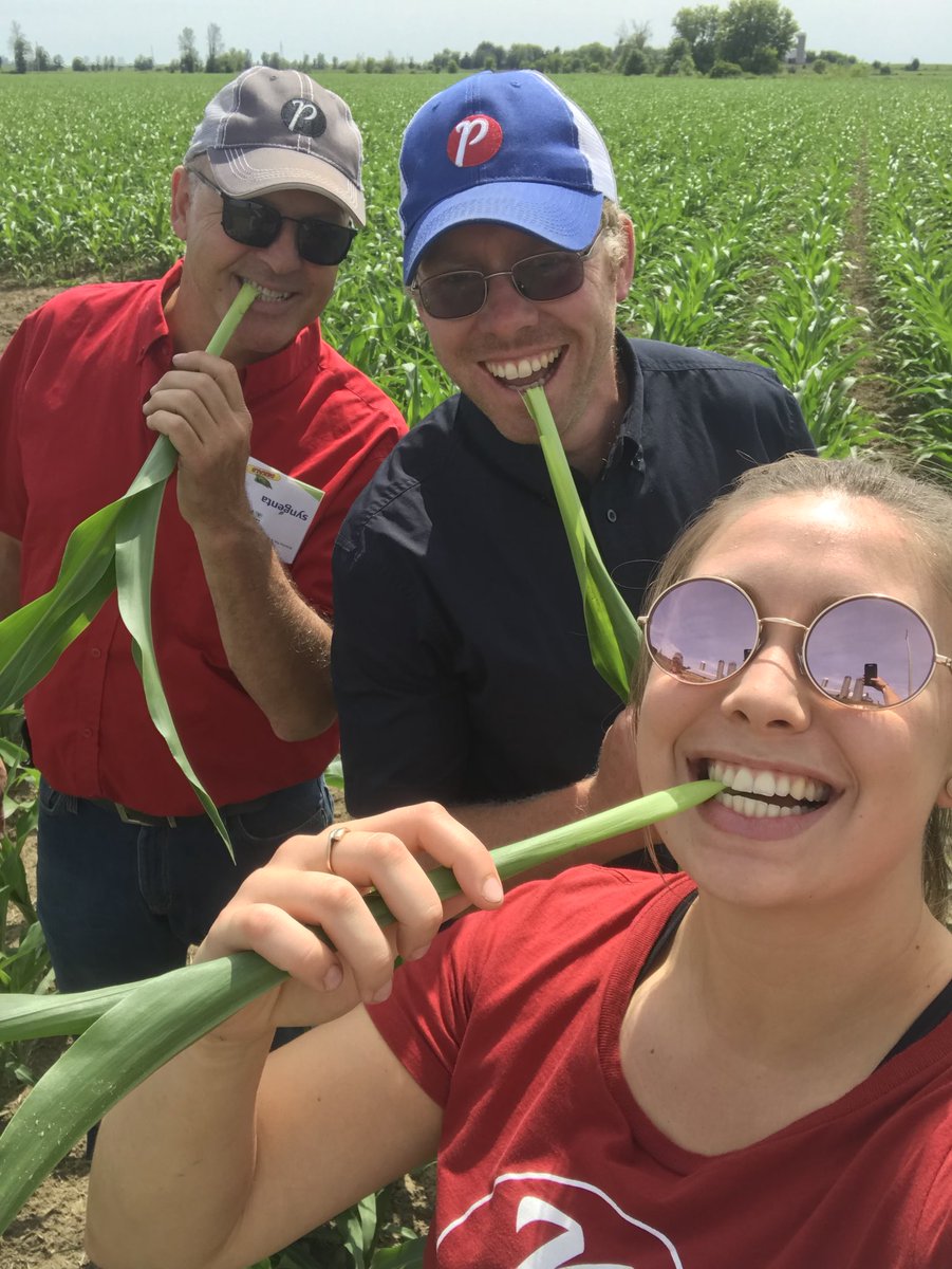 Great day crop touring in the valley with these folks. <a href="/PRIDESEEDS/">PRIDE Seeds</a> lineup looking awesome. #A6757G8 #A6018G2