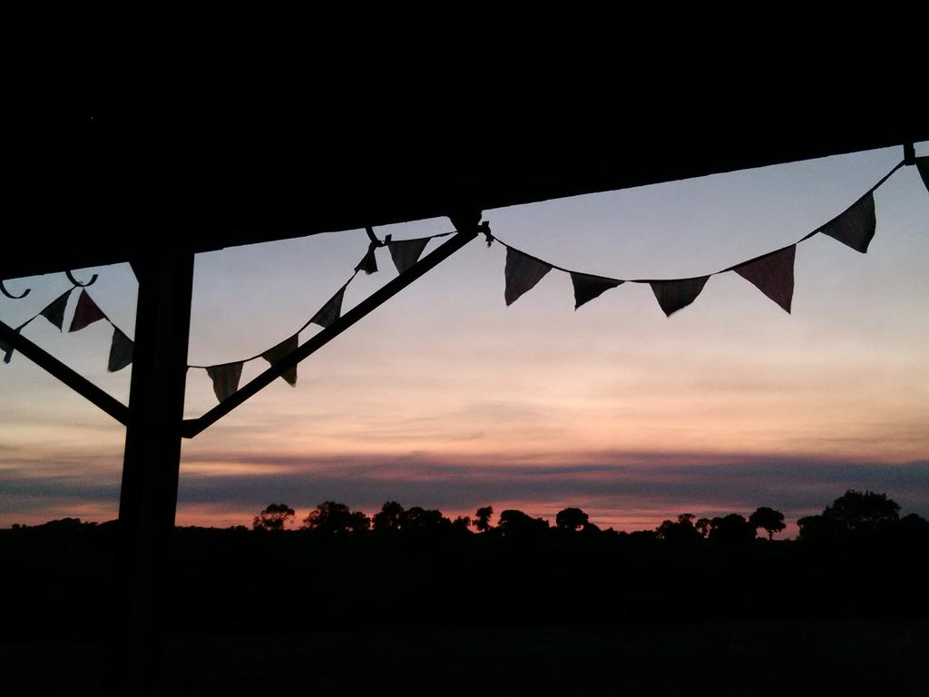HillFarmBnB's tweet photo. Enough breeze to gently move the bunting, moths - large nameless moths ... and the first bat (impossible to photograph but so near I can hear when he flies over me) #almostnight #Derbyshire https://t.co/NaEKJ3pYvq