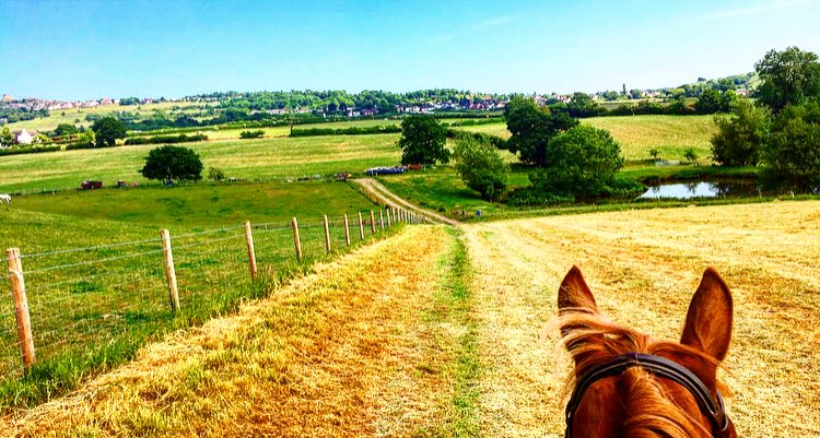 meg_andria's tweet photo. Ride with a view 👌🏻🦄 #teamforageplus #poweredbyforageplus https://t.co/EmYOL14opG