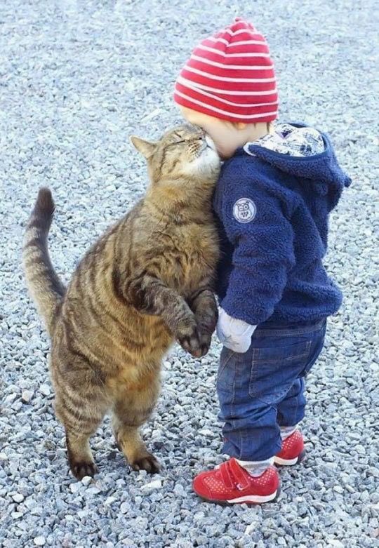 StellaMars2's tweet photo. Follow #BestFriends👍😊

@Matouk97729276 
@Spencerjames211 
@swydersk 
@TheLoneWolF_1 
@ThalyDrive 
@ThShaher 
@lv4gab 
@Sulleimy 
@NchimzBeene 
@JohnParker1988 
@junges_lilia 

#BestFriends
#TeamWolFPack #TeamDollNature
#ThalyDrive
#GainWithPetal
#1DDRIVE
#LV4GAB
#StellarGains https://t.co/atIqYvNIMI