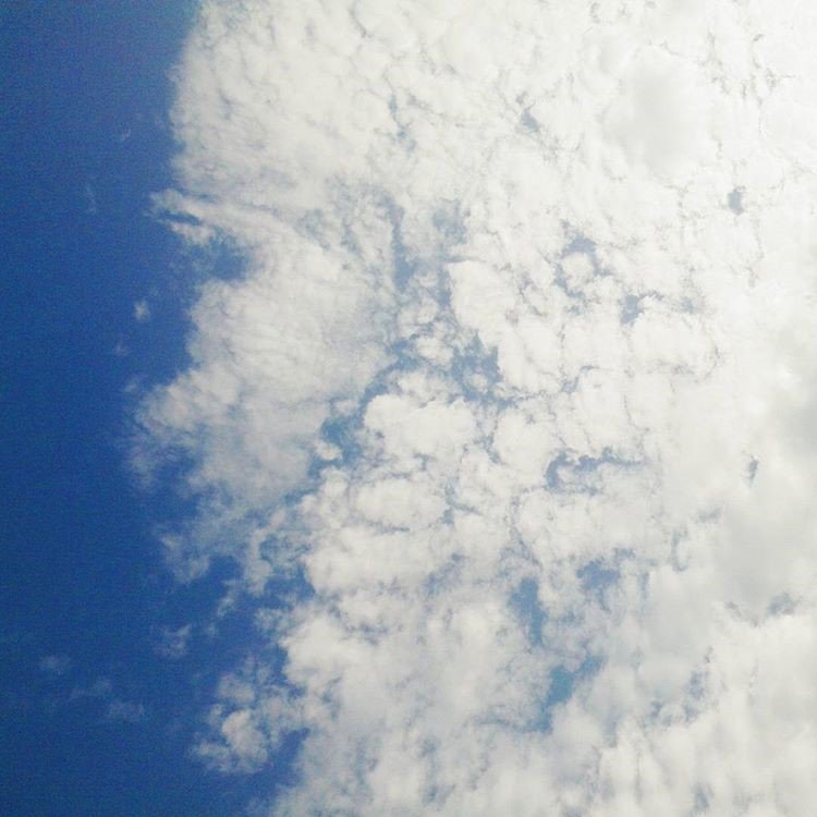 KodaWhite321's tweet photo. #sky #clouds #blue #white #gray #beautiful #photography https://t.co/V5rv9radEM