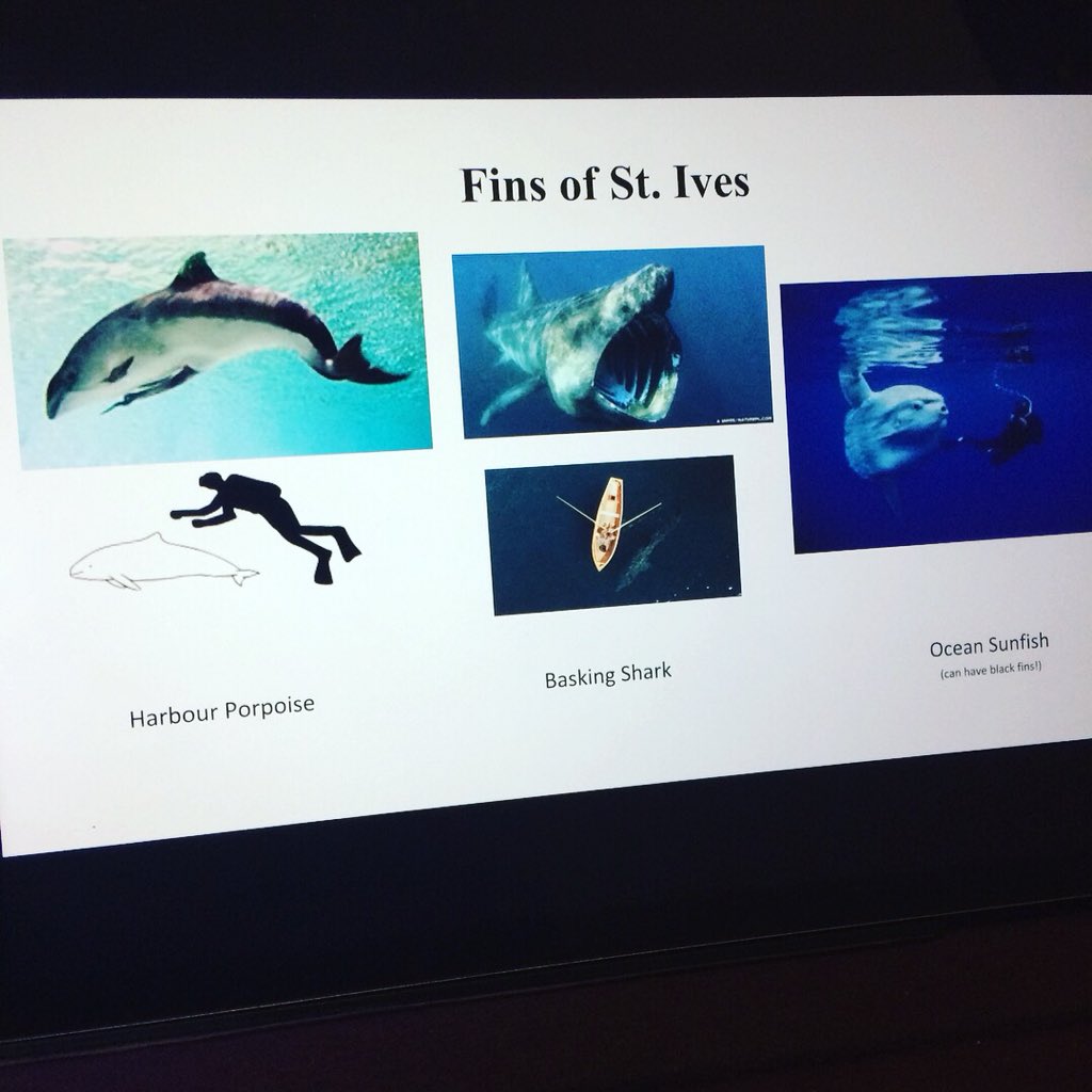 rancidkermit's tweet photo. My #Woolf2018 exp. in numbers:
Panels/plenaries 📝: 12
Artistic happenings 🤹♂️🎤🎬🎨🎼🤸♀️: 4
Ancient cities explored ⛪: 1
Fellow witches who bae told about Woolf and mystical sea creatures🐬: 30-40 approx.
Cats petted 🐈: 2
Sandwiches rabidly devoured 🥪: 37,236 https://t.co/7Fu4hURC8a