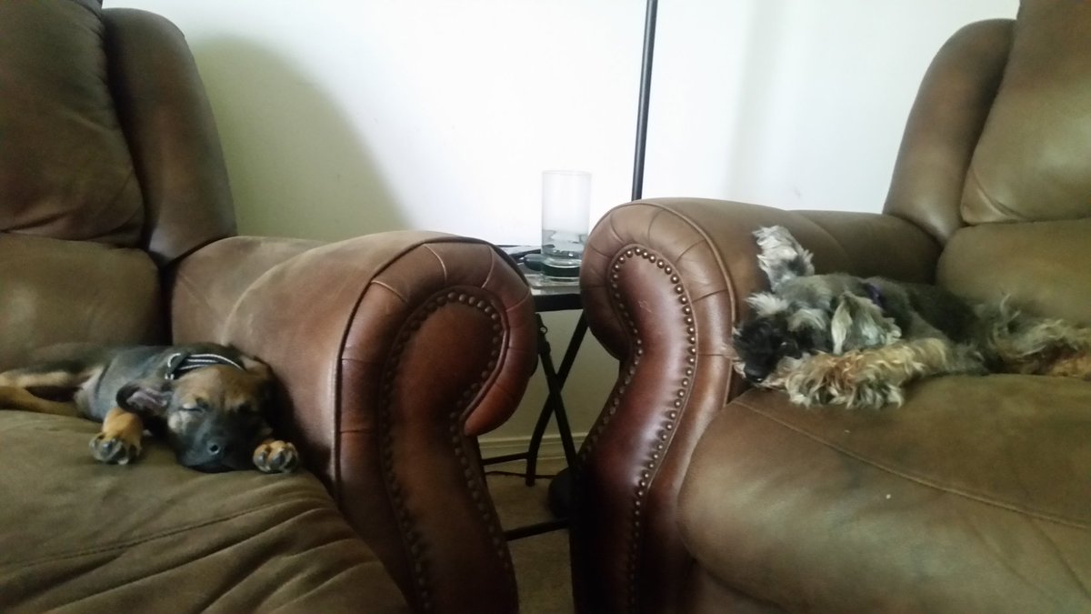 unioncarp224's tweet photo. Ruff day https://t.co/dHPrhhMyyv