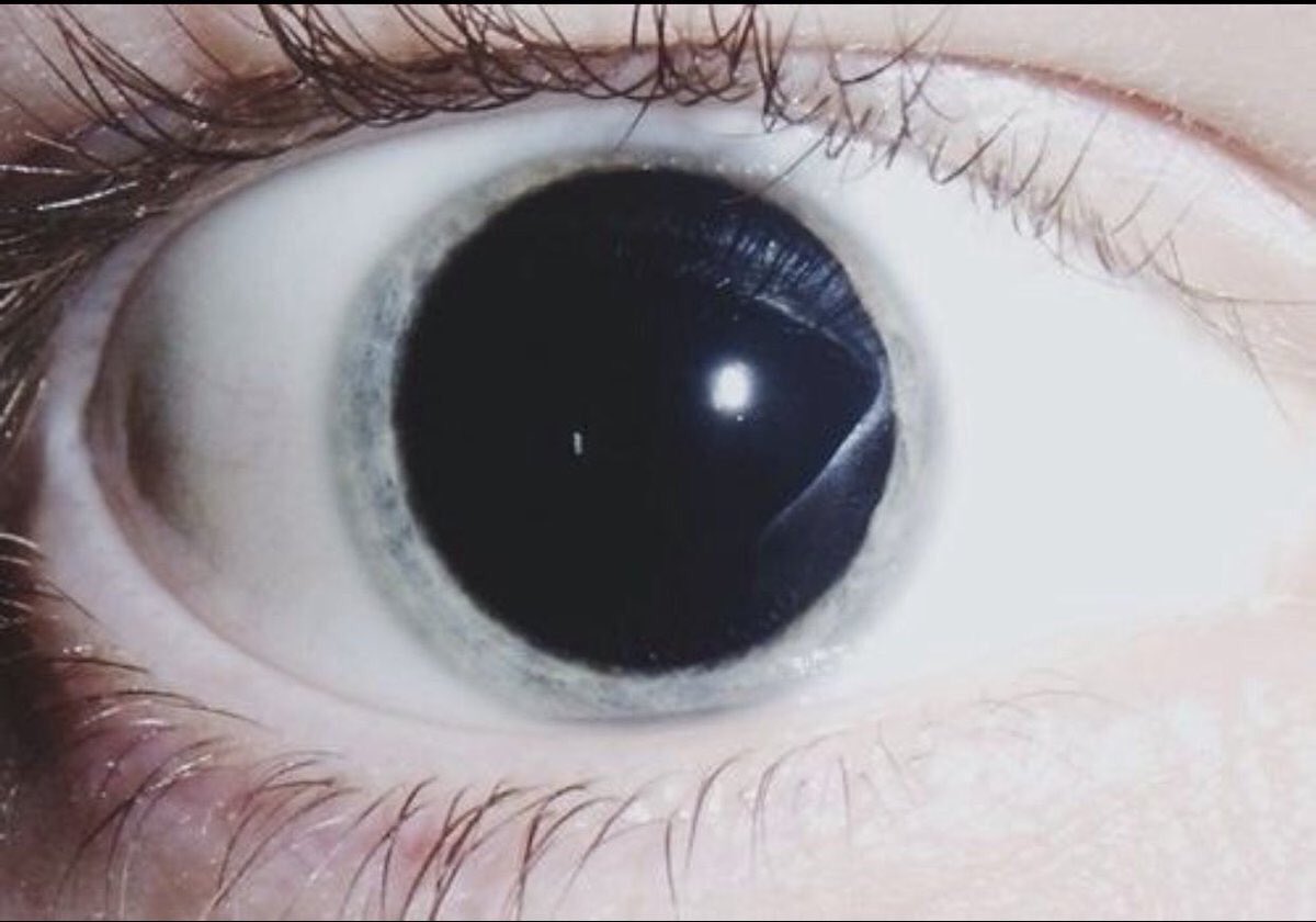 tzardomyn1k's tweet photo. 1. alcohol
2. weed
3. cocaine 
4. listening to last dance by bigbang https://t.co/S1mxXZyKfC