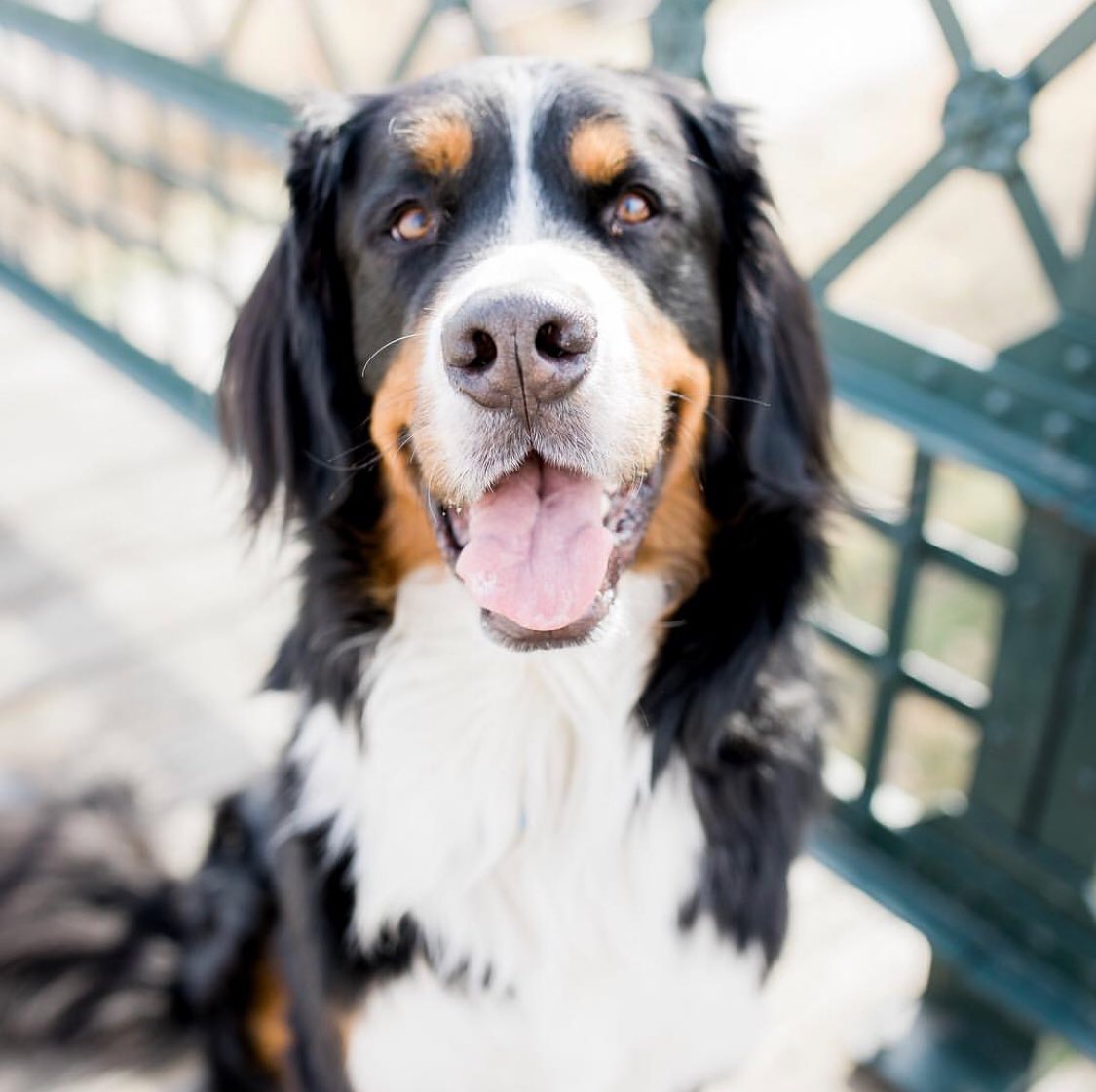 Bistro Planet tweet media