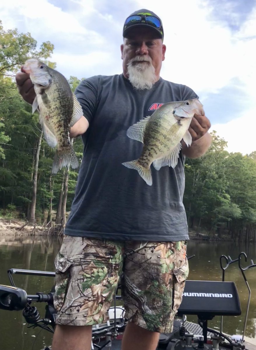 GodwintheWalrus's tweet image. 2 for Tuesday!!
#fincommander #realtreefishing #realtreelife #humminbird #bnmpoles #minnkotamotors #fishing #crappie
