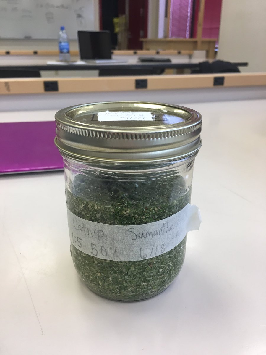 SamanthaEichner's tweet image. I didn’t even know what a tincture was until yesterday and now I made one! #MSSE