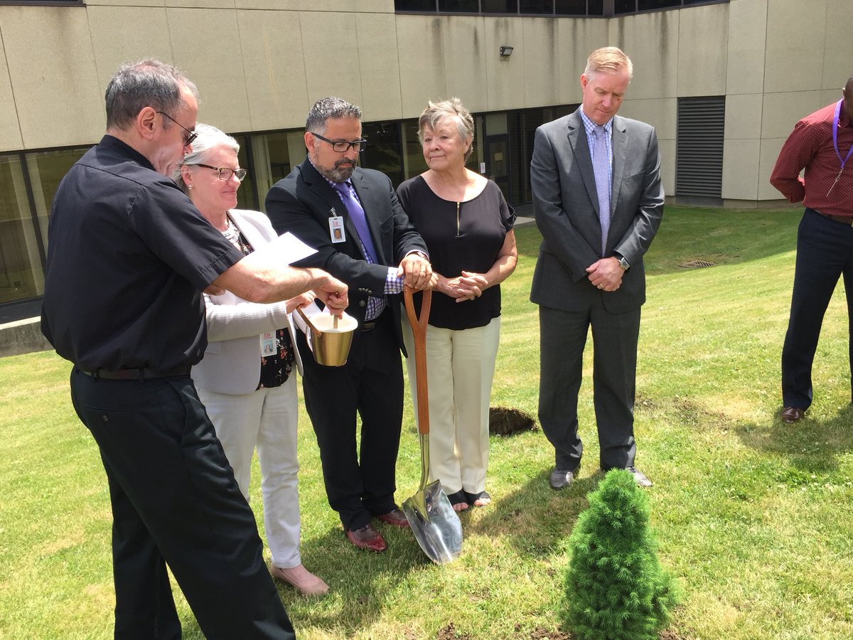 Lisa Malcolm tweet media