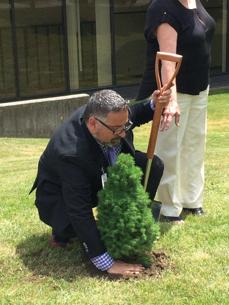 Lisa Malcolm tweet media