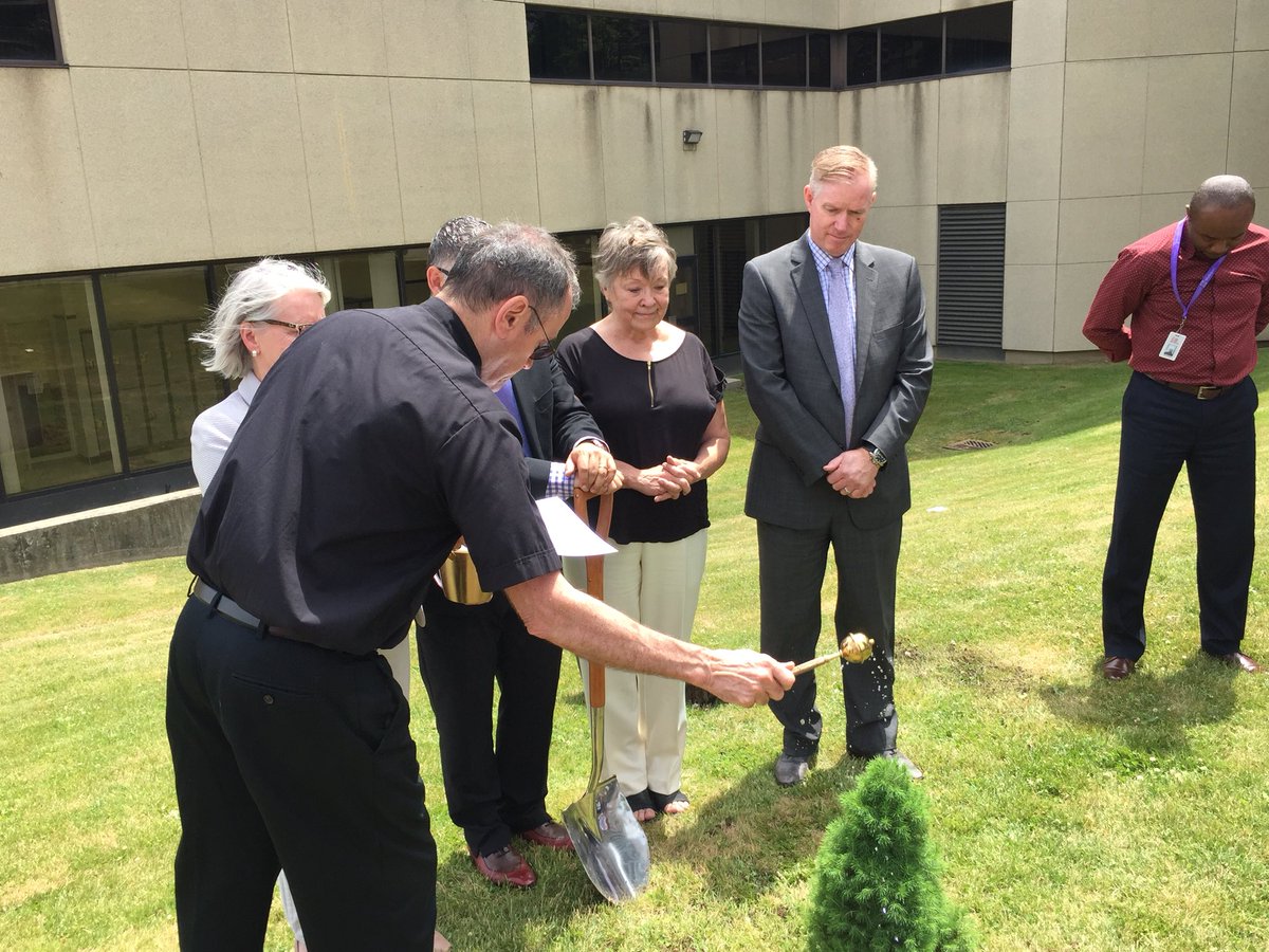 Lisa Malcolm tweet media