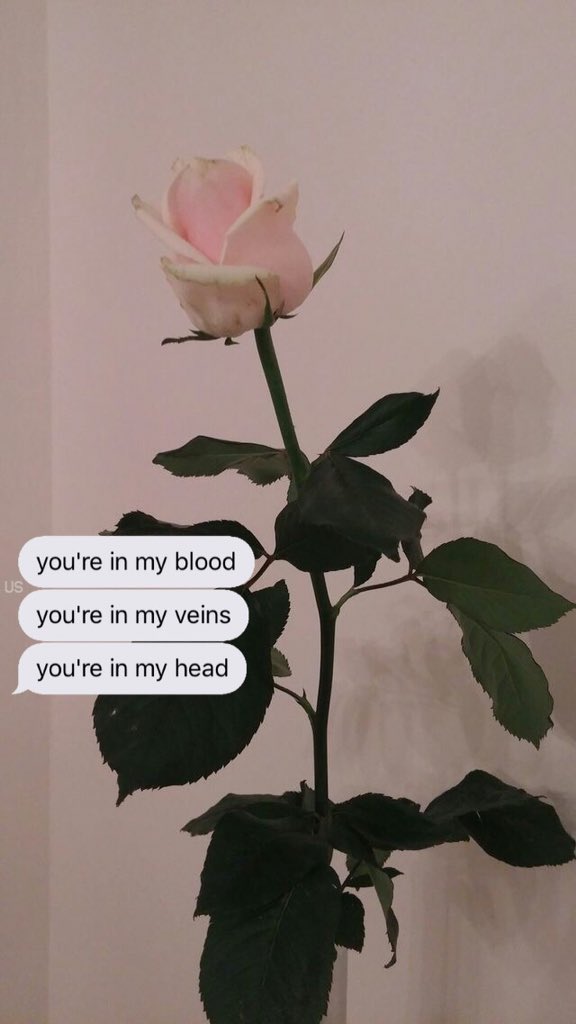 unlockscreen's tweet image. {lyrics - camila 💿}
-liberadas-
SEJAM HONESTOS!! Dê rt se salvar. /bel