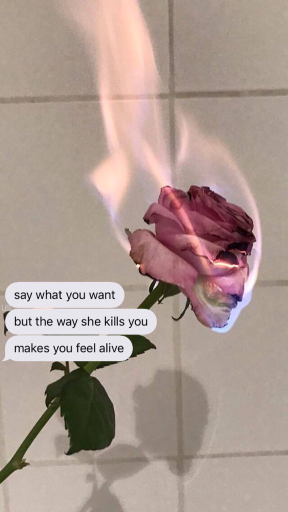 unlockscreen's tweet image. {lyrics - camila 💿}
-liberadas-
SEJAM HONESTOS!! Dê rt se salvar. /bel