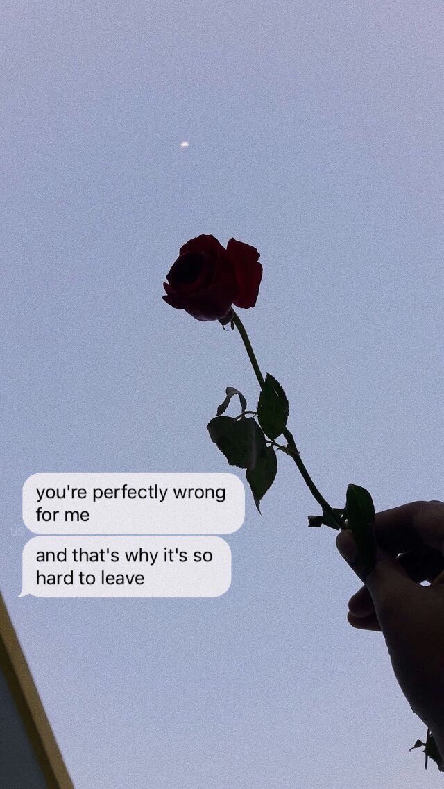 unlockscreen's tweet image. {lyrics - shawn 💿}
-liberadas-
SEJAM HONESTOS!! Dê rt se salvar. /bel