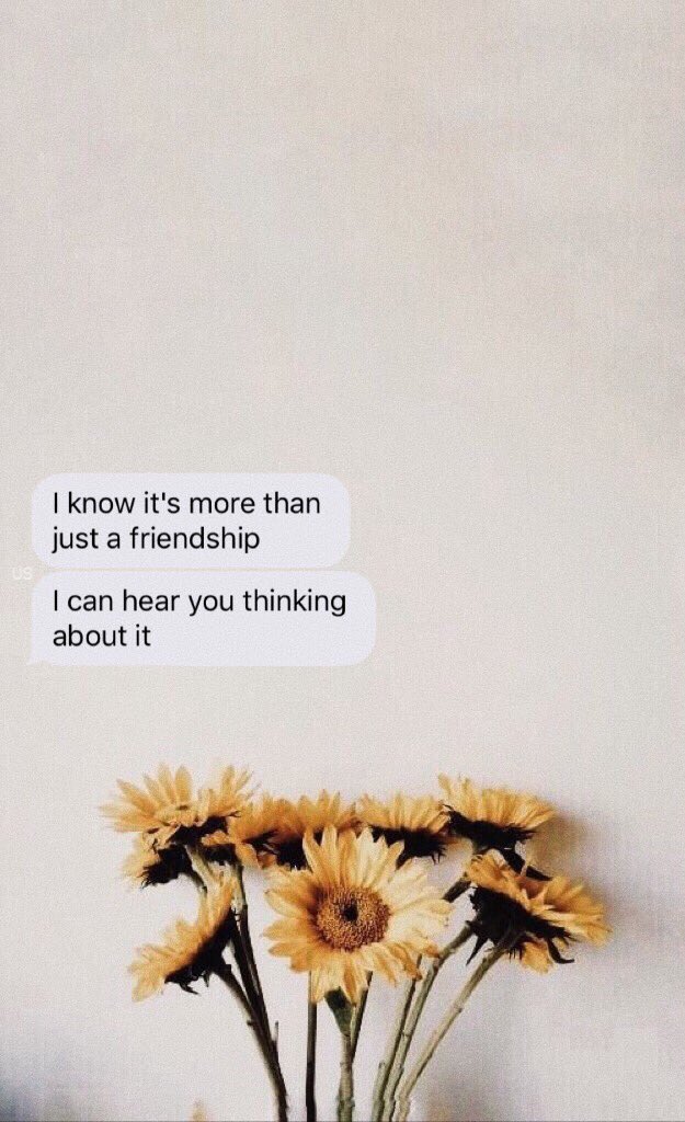 unlockscreen's tweet image. {lyrics - shawn 💿}
-liberadas-
SEJAM HONESTOS!! Dê rt se salvar. /bel