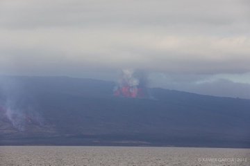 Посмотреть изображение в Твиттере