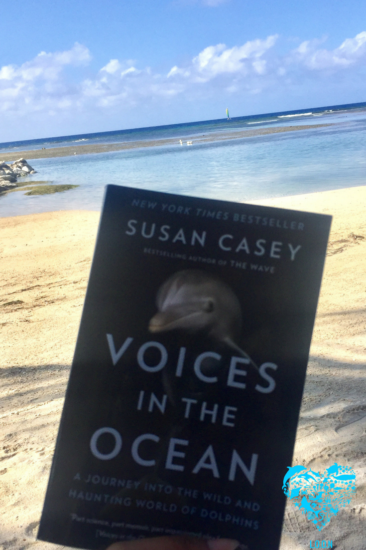 lovingouroceans's tweet photo. Dolphins have been my favourite animal since I can remember, although I haven't quite finished the book yet, it has made me fall more and more in love with these creatures within every page. #dolpins #LOON #lovingouroceansnow #dolphinslaughter #love @RichardOBarry @caseymaui https://t.co/gxRQy2yLGQ