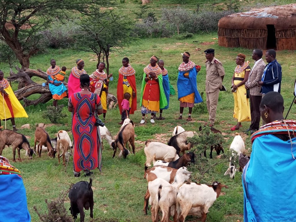 Jane Meriwas HSC (@janemeriwas) on Twitter photo Women collective voices, boost confidence. Memirlosho Women cultural manyatta, Women own, manage and control livestock!.@FinnishEmbNBO <a href="/JaneMeriwas/">Jane Meriwas HSC</a> <a href="/IIWF/">FIMI-IIWF</a> <a href="/VitalVoices/">Vital Voices</a> <a href="/awdf01/">African Women's Development Fund</a> <a href="/GlobalNamati/">Namati</a> <a href="/GlobalFundWomen/">Global Fund for Women</a> <a href="/KIOSFoundation/">KIOS</a> <a href="/ajws/">American Jewish World Service (AJWS)</a> <a href="/IWGIA/">IWGIA</a> <a href="/SamburuWtrust/">SAMBURU WOMEN TRUST</a> <a href="/severinalem/">Severina Lema</a> <a href="/CJRFund/">Climate Justice Resilience Fund</a> <a href="/oakfnd/">Oak Foundation</a> Women collective voices, boost confidence. Memirlosho Women cultural manyatta, Women own, manage and control livestock!.@FinnishEmbNBO <a href="/JaneMeriwas/">Jane Meriwas HSC</a> <a href="/IIWF/">FIMI-IIWF</a> <a href="/VitalVoices/">Vital Voices</a> <a href="/awdf01/">African Women's Development Fund</a> <a href="/GlobalNamati/">Namati</a> <a href="/GlobalFundWomen/">Global Fund for Women</a> <a href="/KIOSFoundation/">KIOS</a> <a href="/ajws/">American Jewish World Service (AJWS)</a> <a href="/IWGIA/">IWGIA</a> <a href="/SamburuWtrust/">SAMBURU WOMEN TRUST</a> <a href="/severinalem/">Severina Lema</a> <a href="/CJRFund/">Climate Justice Resilience Fund</a> <a href="/oakfnd/">Oak Foundation</a>