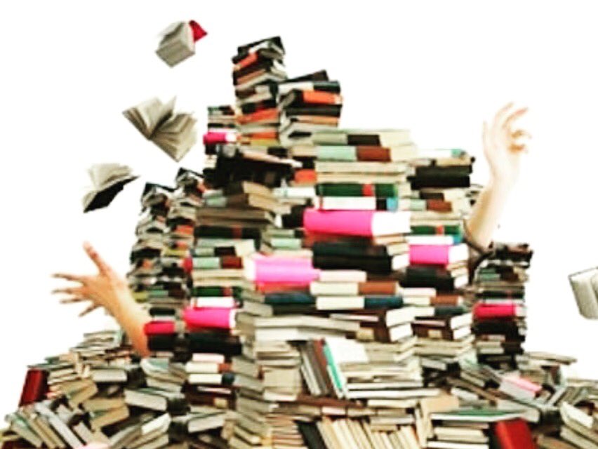 Mrs. G. Di Padre tweet media