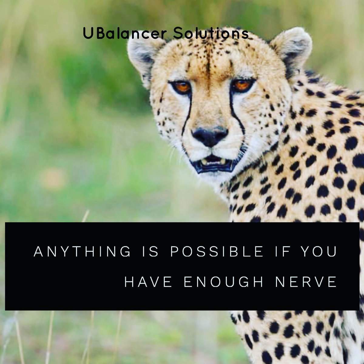 alison_lalieu's tweet photo. #quotes #JKRowling #MotivationalQuotes #possibilitymindset #ubalancer #leadershipcoaching https://t.co/7r5qZdriNp