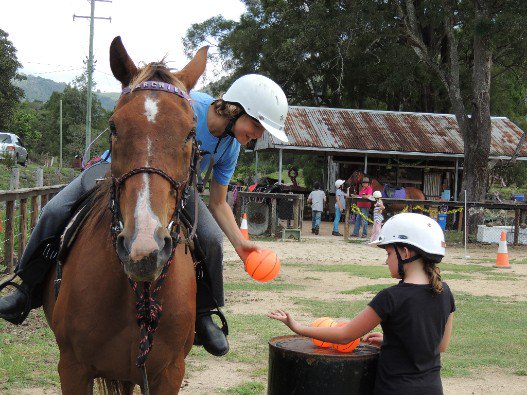 nagnanny01's tweet photo. HURRY ...... BOOK THE KIDS IN FOR A GREAT DAY ... FILLED WITH LOTS OF HORSE ACTIVITIES  - https://t.co/5m4dDqhfLu https://t.co/o4O3ogHJyT