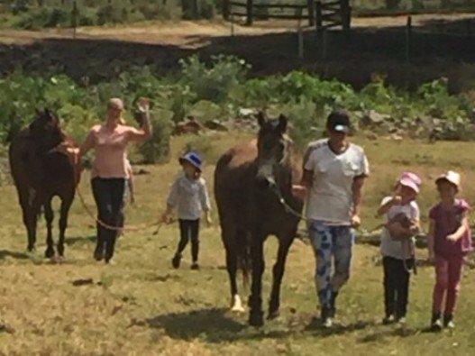 nagnanny01's tweet photo. HURRY ...... BOOK THE KIDS IN FOR A GREAT DAY ... FILLED WITH LOTS OF HORSE ACTIVITIES  - https://t.co/5m4dDqhfLu https://t.co/o4O3ogHJyT